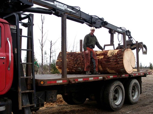 Ryan's Rustic Railings hauling trees | trusses