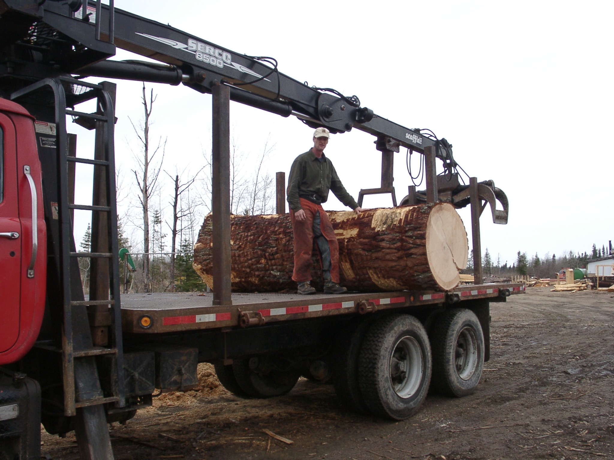 Transporting trees with Ryan's Rustic Railings
