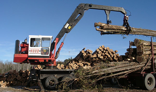 unloading timber log raw materials