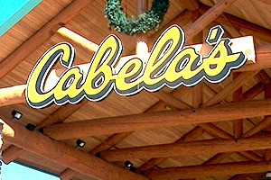 Cabela's commerical log project